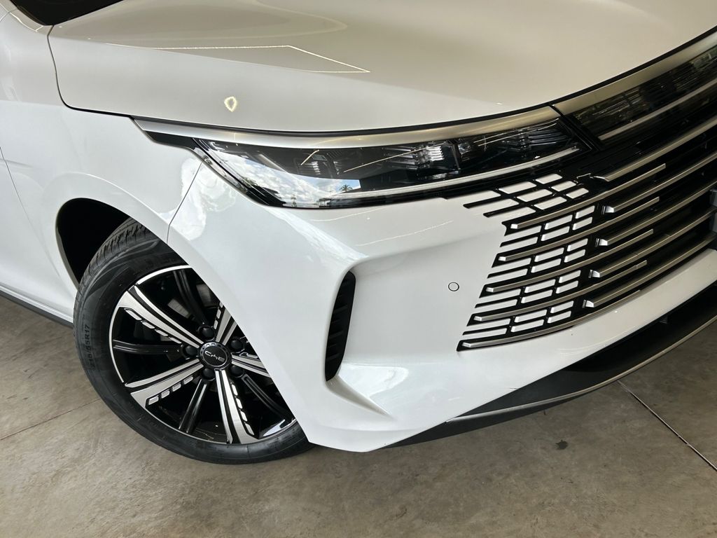 BYD King 2025