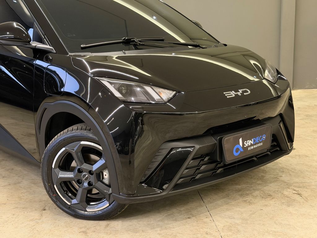 BYD Dolphin 2025