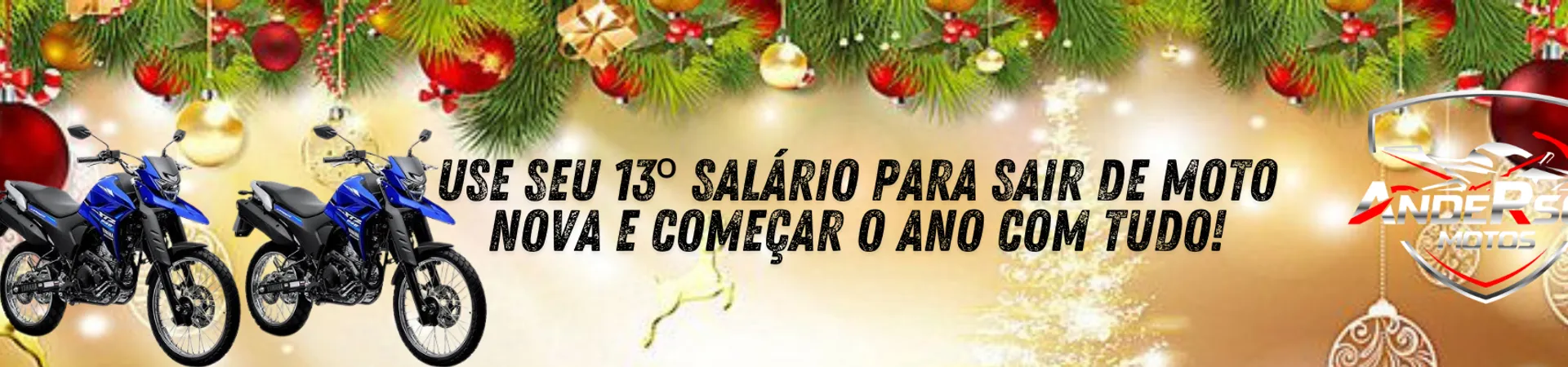 Banner 2