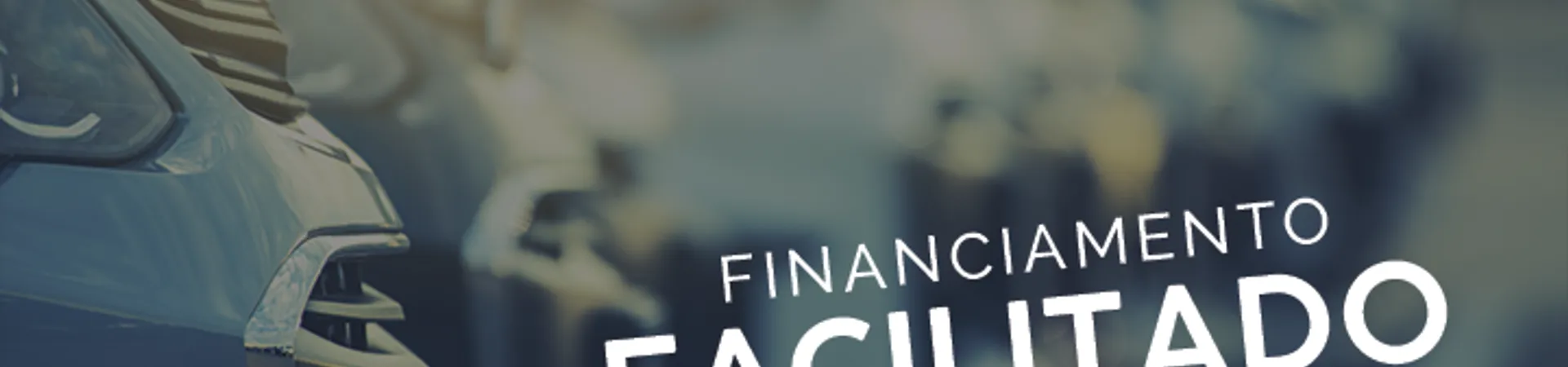 Banner 2