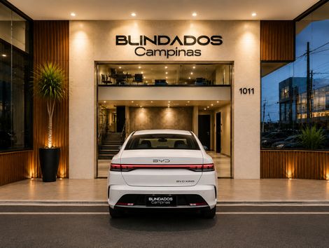 BYD KING GS