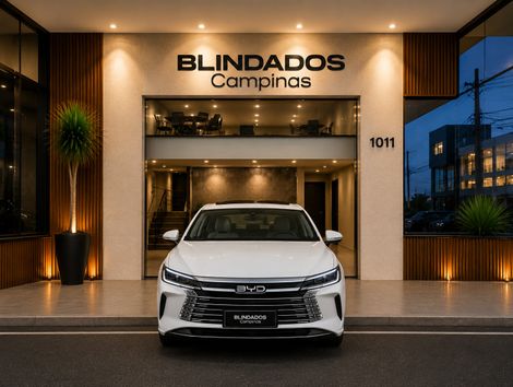 BYD KING GS