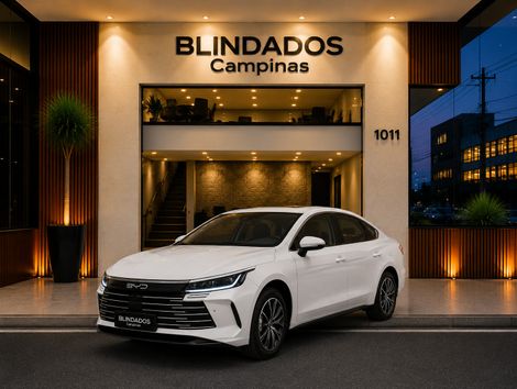 BYD KING GS