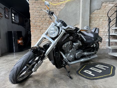 Harley V-ROD 1250cc MUSCLE VRSCF