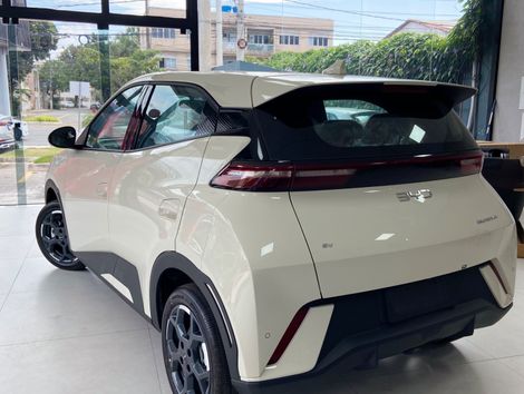 BYD Dolphin Mini (Elétrico)