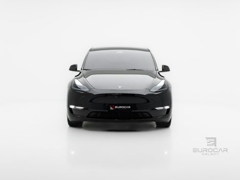 Tesla MODEL Y LONG R P