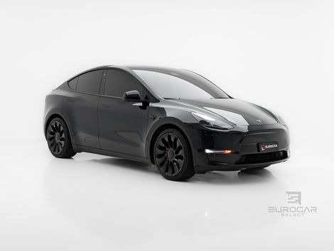 Tesla MODEL Y LONG R P