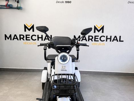 DUOS FENIX TRICICLO ELÉTRICO 