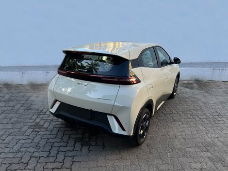 BYD Dolphin Mini (Elétrico)