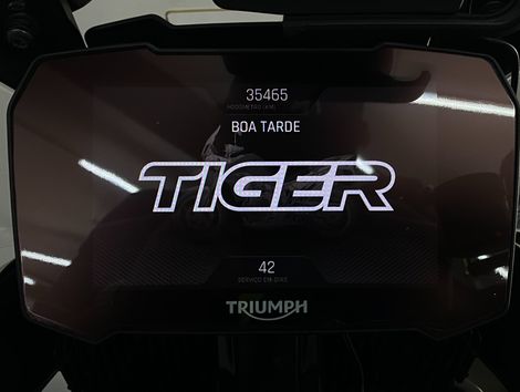 TRIUMPH TIGER 900 RALLY PRO