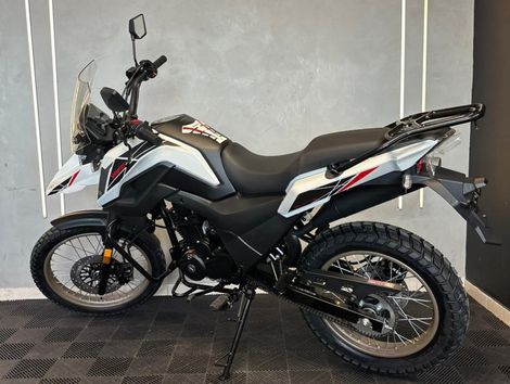 SHINERAY NEW SHI 175