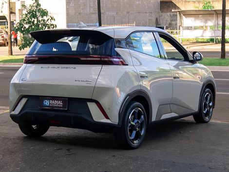 BYD Dolphin Mini (Elétrico)