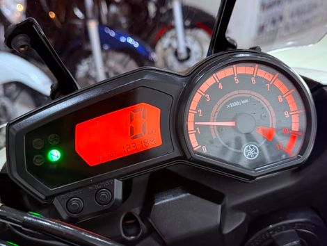 YAMAHA XTZ 250 TENERE/TENERE BLUEFLEX