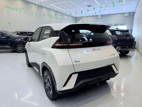 BYD Dolphin Mini (Elétrico)