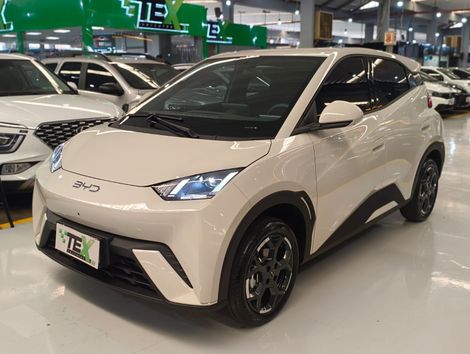 BYD Dolphin Mini (Elétrico)