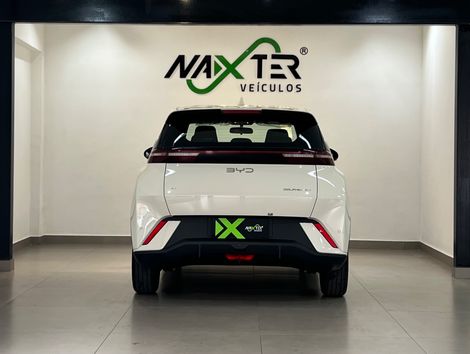 BYD Dolphin Mini (Elétrico)