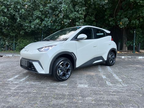 BYD Dolphin Mini GL