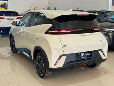 BYD Dolphin Mini (Elétrico)