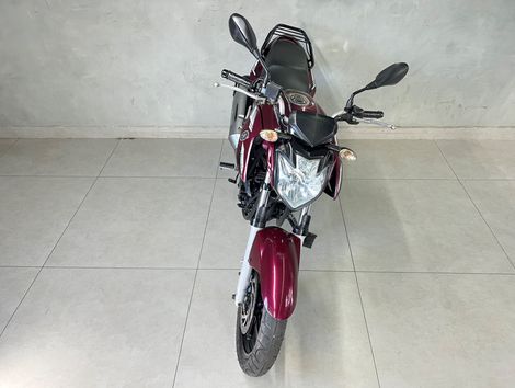 YAMAHA YS 250 FAZER/ FAZER L. EDITION /BLUEFLEX