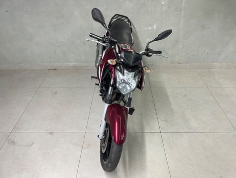 YAMAHA YS 250 FAZER/ FAZER L. EDITION /BLUEFLEX
