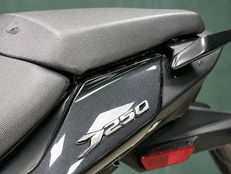 BAJAJ DOMINAR 250