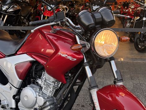 YAMAHA YS 250 FAZER/ FAZER L. EDITION /BLUEFLEX