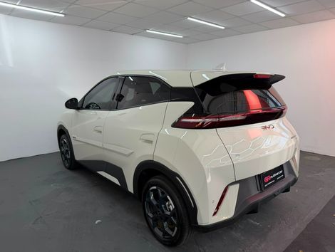 BYD Dolphin Mini (Elétrico)