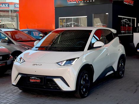 BYD Dolphin Mini (Elétrico)