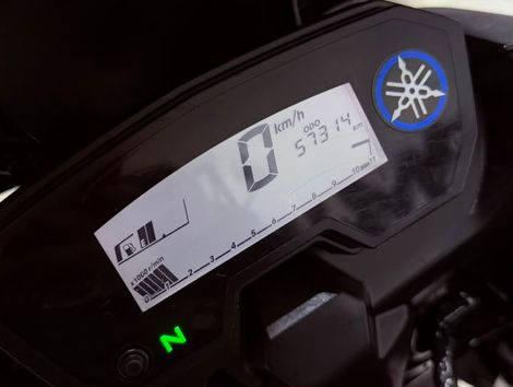 YAMAHA XTZ 250 TENERE/TENERE BLUEFLEX