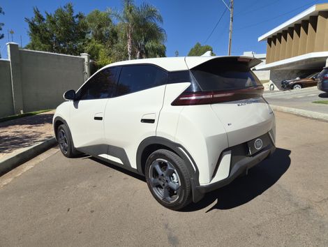 BYD Dolphin Mini (Elétrico)
