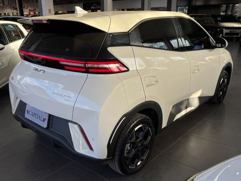 BYD Dolphin Mini (Elétrico)