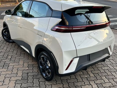 BYD Dolphin Mini (Elétrico)