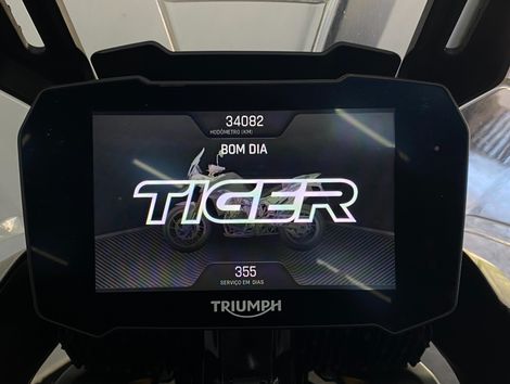 TRIUMPH TIGER 900 RALLY PRO