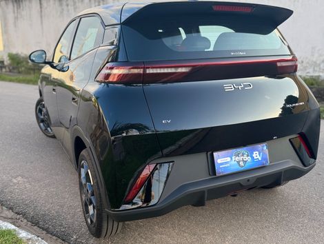 BYD Dolphin Mini (Elétrico)