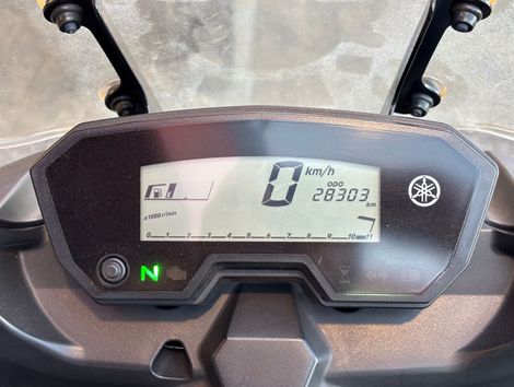 YAMAHA XTZ 250 TENERE/TENERE BLUEFLEX