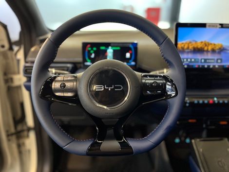 BYD Dolphin Mini GS (Elétrico)