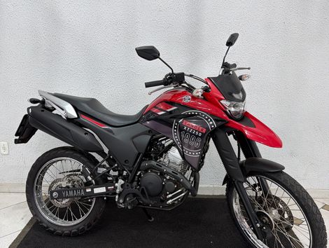 YAMAHA XTZ 250 LANDER 249cc/LANDER BLUEFLEX/ABS