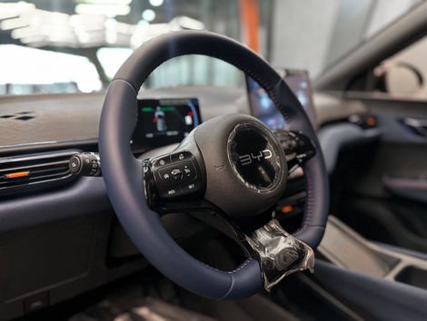 BYD Dolphin Mini GS (Elétrico)