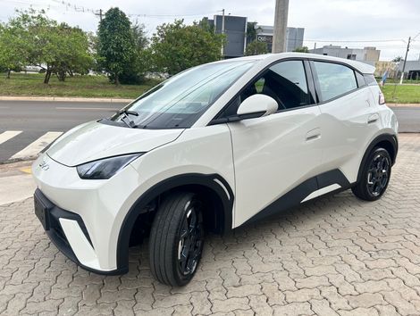 BYD Dolphin Mini GS (Elétrico)