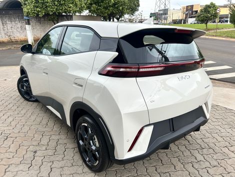 BYD Dolphin Mini GS (Elétrico)