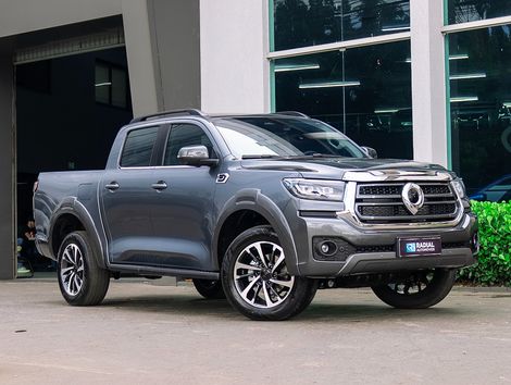 GWM P30 EXC
