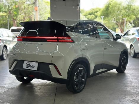 BYD Dolphin Mini (Elétrico)