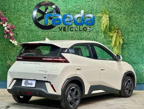 BYD Dolphin Mini (Elétrico)