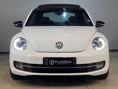 Volkswagen /VW  2.0T