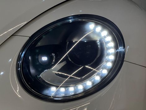 Volkswagen /VW  2.0T