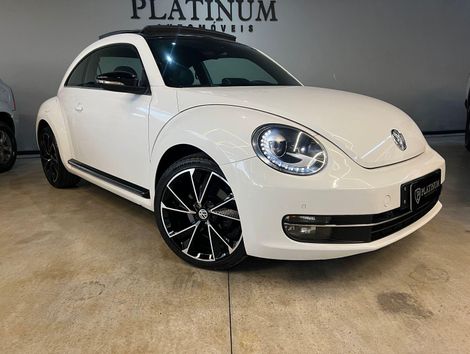 Volkswagen /VW  2.0T