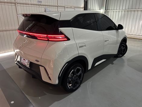 BYD Dolphin Mini (Elétrico)