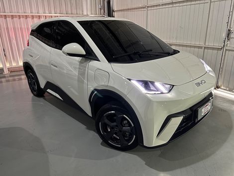 BYD Dolphin Mini (Elétrico)