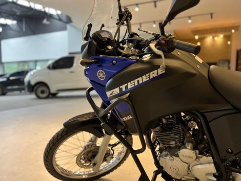 YAMAHA XTZ 250 TENERE/TENERE BLUEFLEX