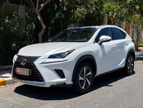 Lexus NX-300h Luxury 2.5 16V Aut.(Hybrid)